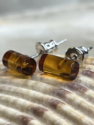 Natural Baltic Amber Earrings